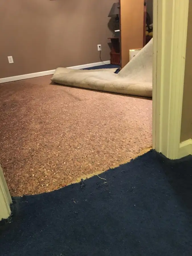Carpet pad removal revealing water damage during Water Mitigation Services in North Olmsted